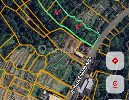 Tanah Untuk Disewa - Lokasi Strategis di Pujung, Sebatu, Tegallalang, Ubud