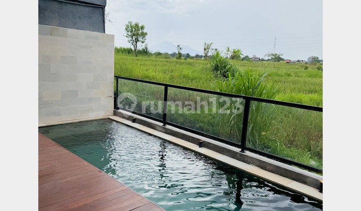 BRAND NEW VILLA WITH RICE FIELD VIEW, CEPAKA, MUNGGU, BADUNG BRAND NEW VILLA WITH RICE FIELD VIEW, CEPAKA, MUNGGU, BADUNG