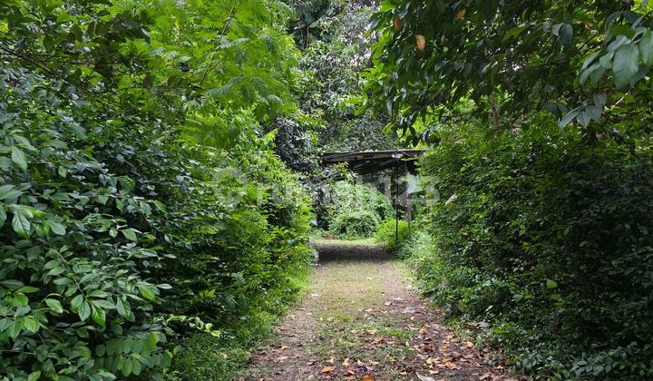 Good Land Bonus 20 Rental Units In Pondok Jaya Bintaro