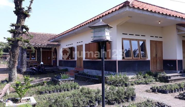 Rumah U Usaha Vila Atau U Slow Living Di Rumah Cantik Dan Luas Di Kaliurang Jogja 