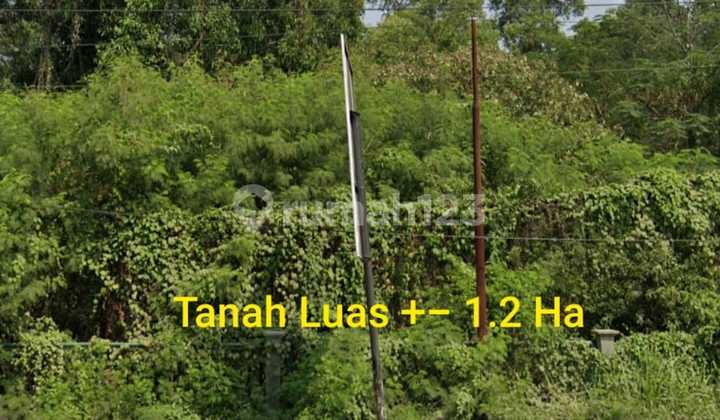 Peluang Investasi! Tanah SHM di Klari Karawang