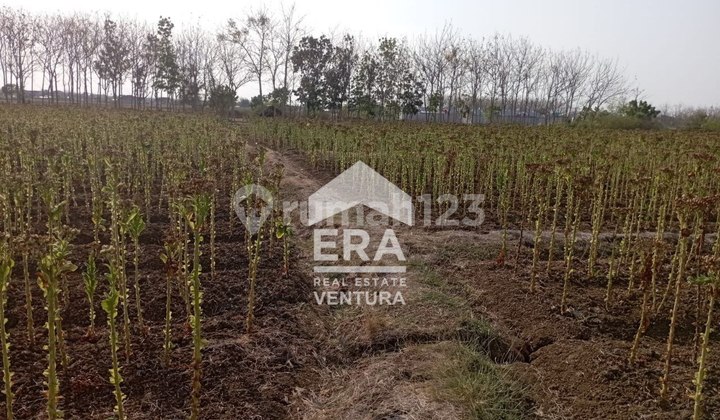 F033 Spacious Land Suitable For Building Shophouses Or Similar F033 Spacious Land Suitable For Building Shophouses Or Similar