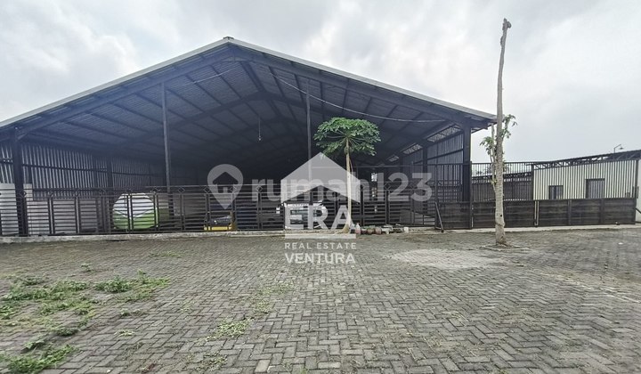 F241 Warehouse for Rent Strategic Location Just a Step Away from Malang Toll Road F241 Warehouse for Rent Strategic Location Just a Step Away from Malang Toll Road