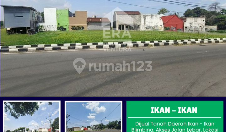 Dijual Tanah Daerah Ikan - Ikan Blimbing, Dekat Soekarno Hatta Dijual Tanah Daerah Ikan - Ikan Blimbing, Dekat Soekarno Hatta