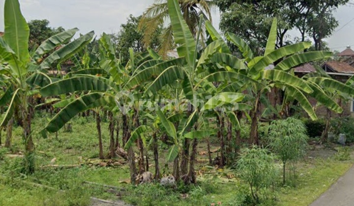 Tanah Di Lamongan Lokasi Poros Jln Sesuai Utk Invest Atau Hunian Tanah Di Lamongan Lokasi Poros Jln Sesuai Utk Invest Atau Hunian