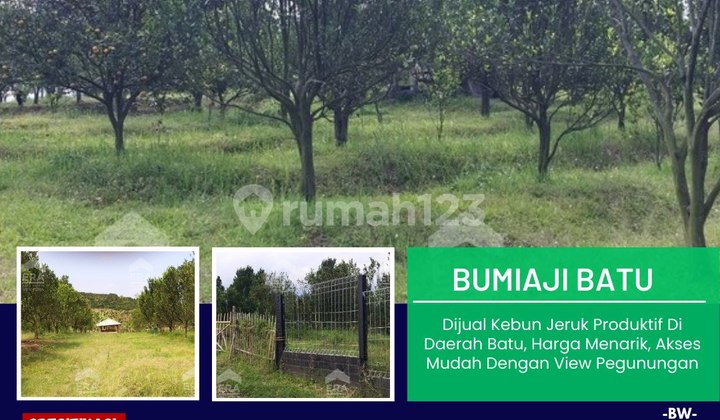 F207 Land For Sale Mountain View Suitable For Villa Or Guest House