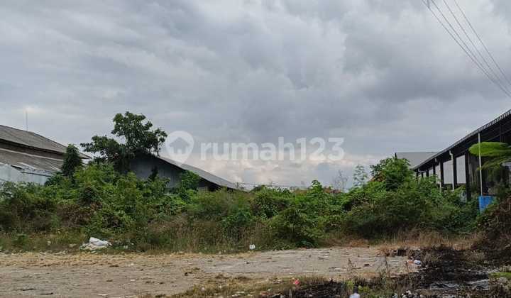 Land for Rent, 24 Ares, Roadside.