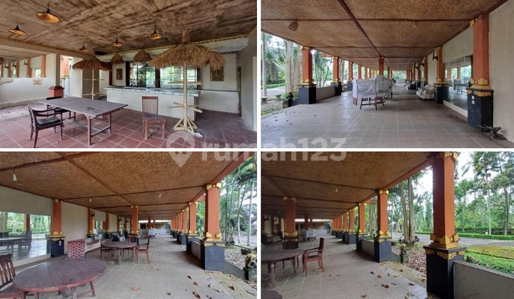 Tanah 81 Are + Bonus Bangunan Ex Villa Tegalalang Gianyar