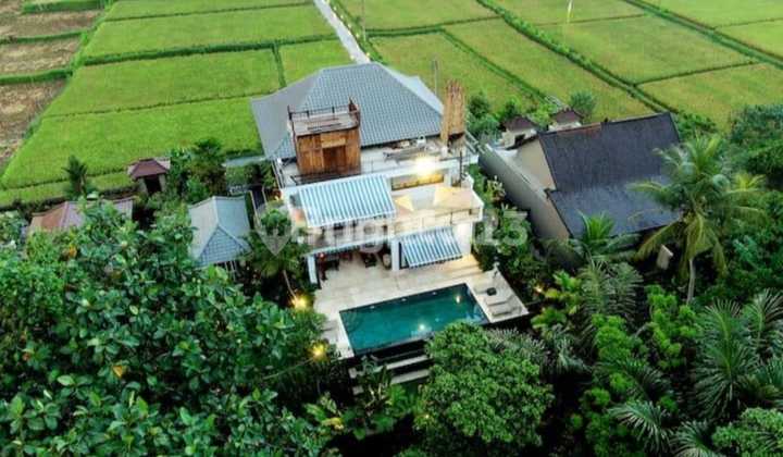 Villa Mewah Fully Furnished 5 Kamar Tidur Ubud