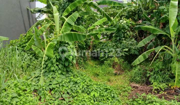 Jual Tanah Kavling Di Taman Pulogebang Jaktim Lt 150m2 Jual Tanah Kavling Di Taman Pulogebang Jaktim Lt 150m2