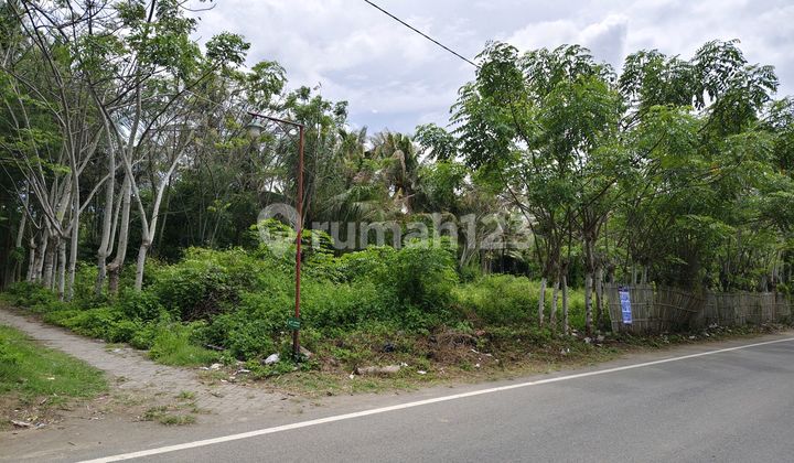 Jual Cepat Tanah Di Tanjung Kait,tanjung Anom Tangerang Lt19.749 M Shm