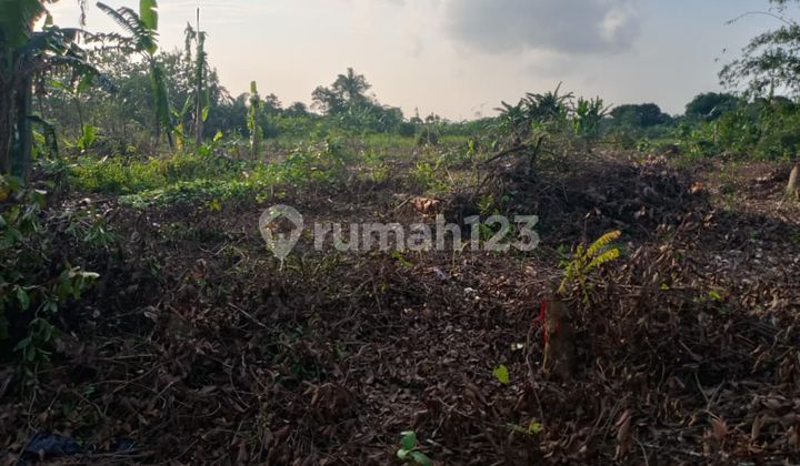 Spesial Promo Murah Tanah Kavling 10 Menit Stasiun Jatake