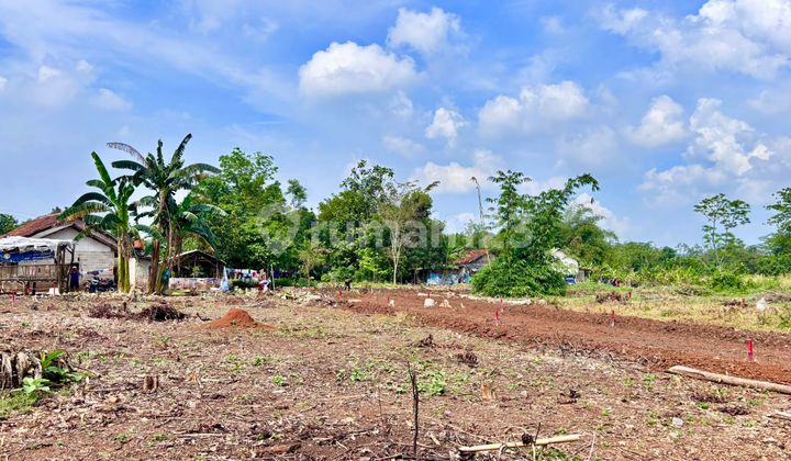 Spesial Promo Tanah Kavling Murah di Cisauk Tangerang, SHM Spesial Promo Tanah Kavling Murah di Cisauk Tangerang, SHM
