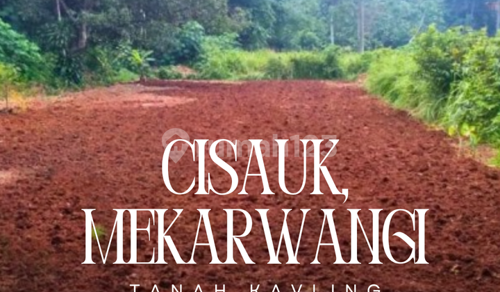 Tanah Kavling Cisauk, Jl Mekarwangi Cocok Untuk Hunian & Akses Mudah Tanah Kavling Cisauk, Jl Mekarwangi Cocok Untuk Hunian & Akses Mudah