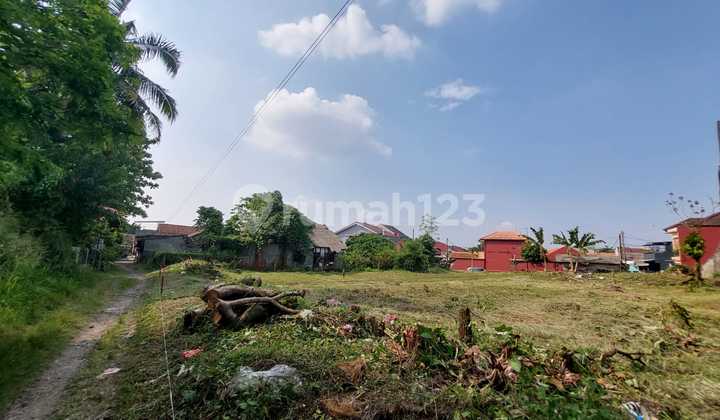 Tanpa Bunga Cicilan12x Tanah Kavling 10 Menit Terminal Ciomas Siap Balik Nama