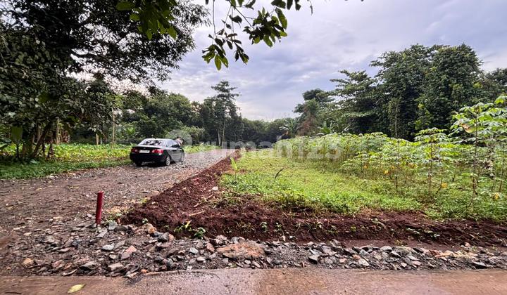 Tanah Kavling SHM Murah Hanya 10 Menit Pasar Setu Bekasi Tanah Kavling SHM Murah Hanya 10 Menit Pasar Setu Bekasi