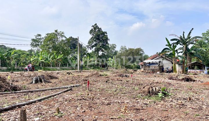 Spesial Promo Tanah Kavling Murah di Cisauk Tangerang, SHM Spesial Promo Tanah Kavling Murah di Cisauk Tangerang, SHM