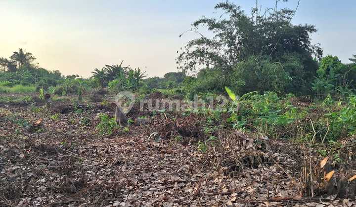 Special Low Price Starting from 1 Million Lots SHM in Cisauk Tangerang Special Low Price Starting from 1 Million Lots SHM in Cisauk Tangerang