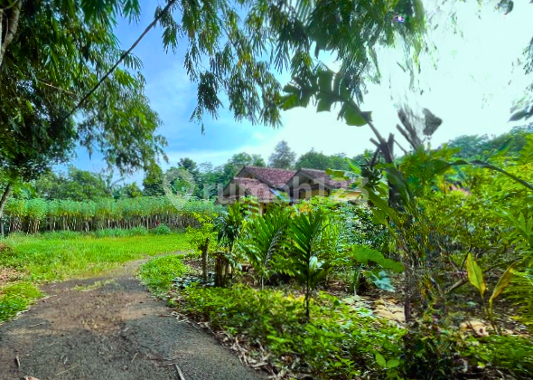 For Sale Mekarwangi Cisauk Plot Land, Suitable for Residence or Warehouse