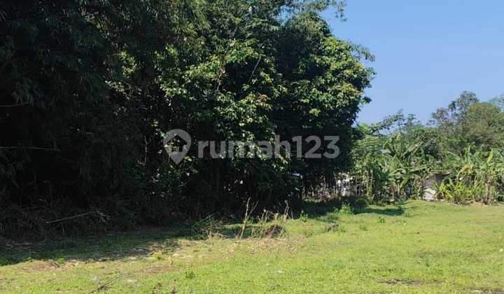 Tanah Kavling Cisauk Terima Lahan Siap BAngun, SHM Tanah Kavling Cisauk Terima Lahan Siap BAngun, SHM