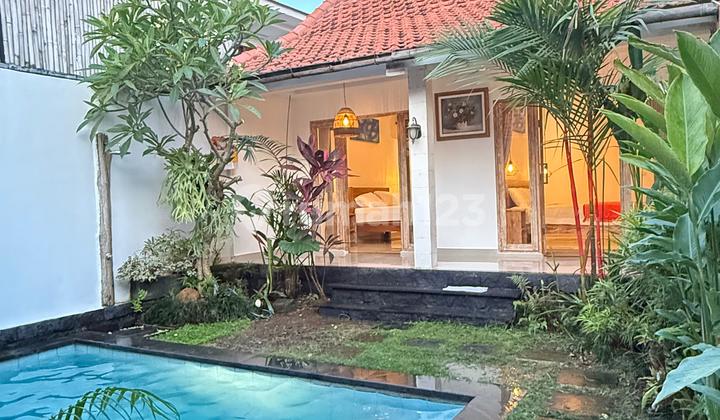 Pet Friendly, Villa, Private Swimming Pool Available