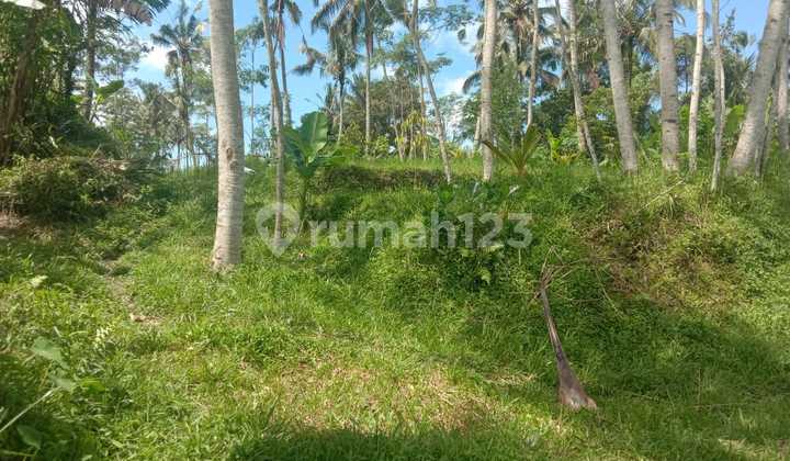 Tanah 1700 m2 SHM Ubud, Gianyar