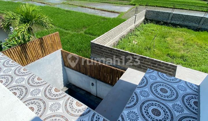 Villa Kedungu, Tabanan view sawah dan pantai 1