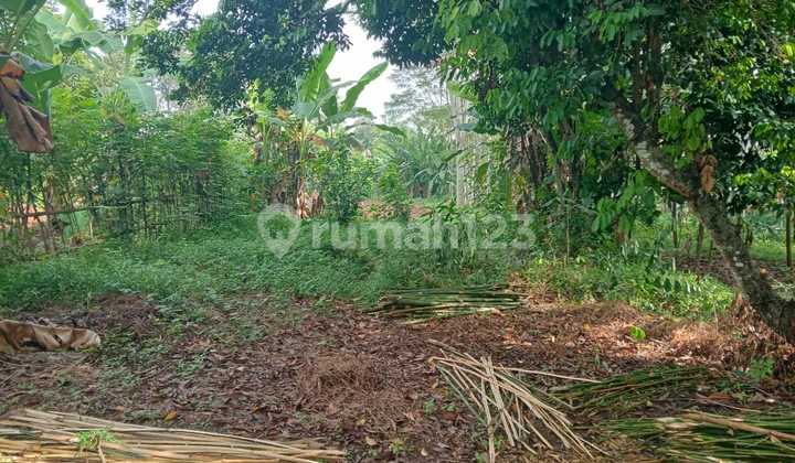 Dijual Tanah Pekarangan Lokasi di Daerah Batang - Jawa Tengah 