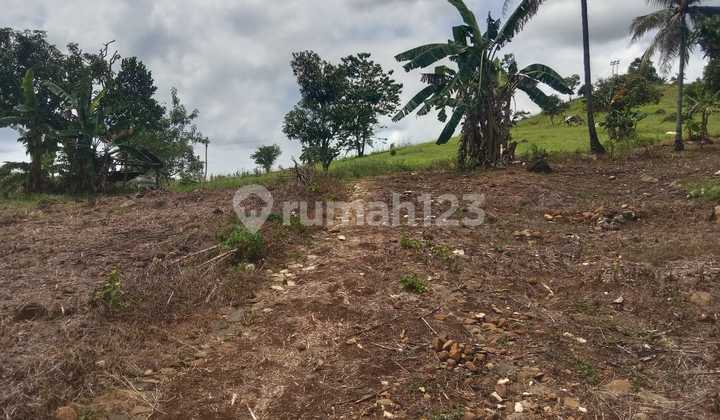 Land for Sale in Bogor, Land Area 2500m², Developing Area, Can Be Paid Per Plot of 300 m2