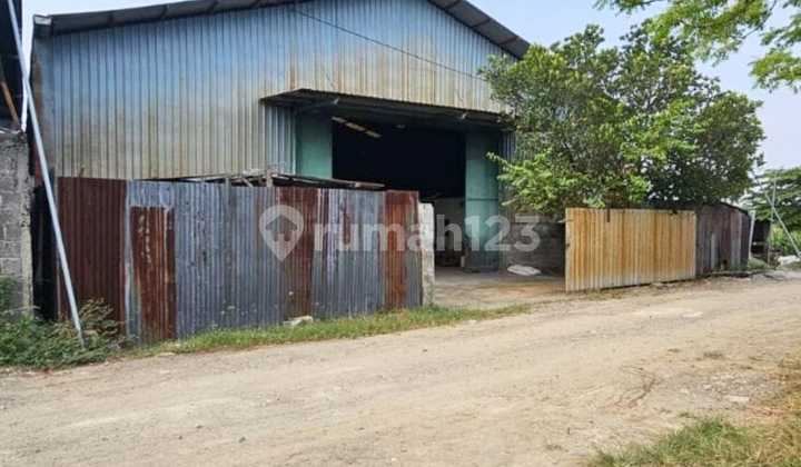 Gudang Gresik Domas Menganti Murah Siap Pakai Akses Kontainer 40ft Gudang Gresik Domas Menganti Murah Siap Pakai Akses Kontainer 40ft