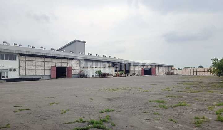Dijual/Disewakan Ex Pabrik dan Gudang Sidoarjo Raya Bypass Krian Dekat Tjiwi Kimia Luas 3Ha Sudah Urug