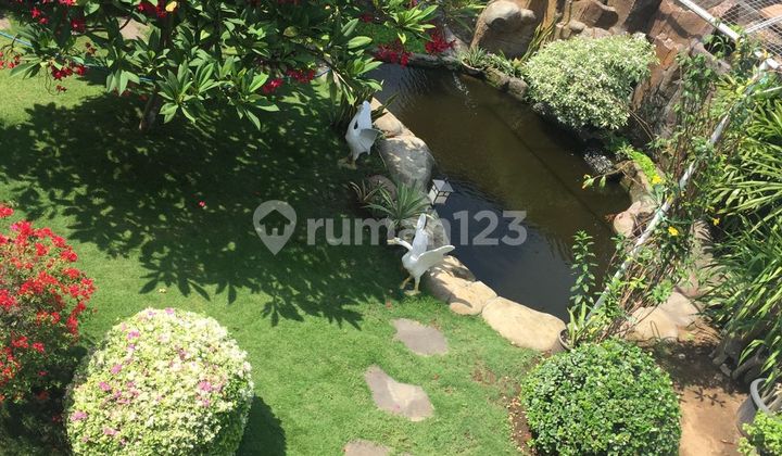 Rumah Bagus Nginden Intan Surabaya Taman Asri Luas Siap Huni Garasi 8Mobil 2