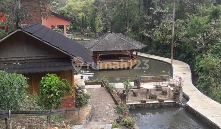 Jual Rumah Villa Ciwidey Arah Gambung Jual Rumah Villa Ciwidey Arah Gambung