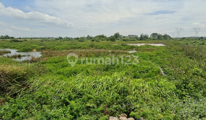 Tanah Balaraja 2,7ha Harga Cuma 1,3jt/m² Deket Exit Tol Tanah Balaraja 2,7ha Harga Cuma 1,3jt/m² Deket Exit Tol