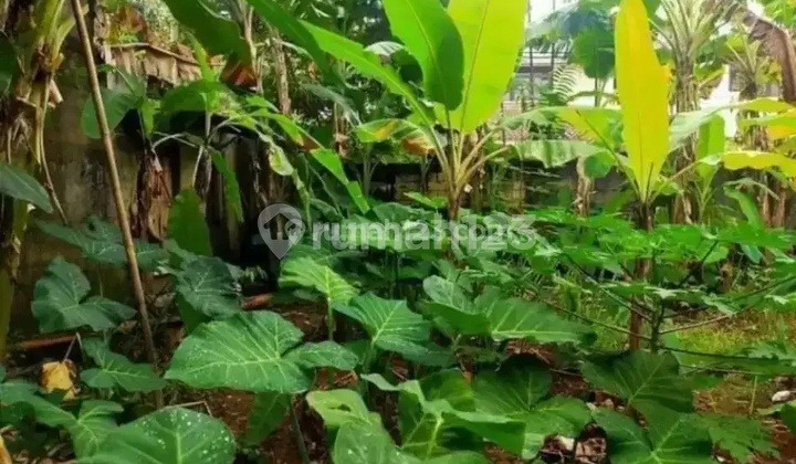 Tanah Kavling Murah Di Kebayoran Lama Jaksel Tanah Kavling Murah Di Kebayoran Lama Jaksel