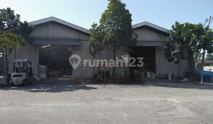 Rajeg-mauk Tangerang Rajeg-mauk Tangerang