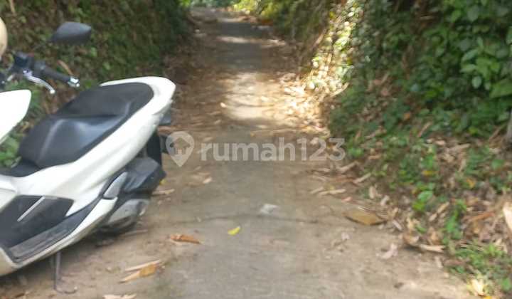 Land for Sale in Tabanan Area Near Tourist Center