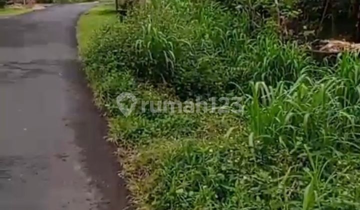 Tanah Strategis Dekat Air Terjun Bedugul, Buleleng