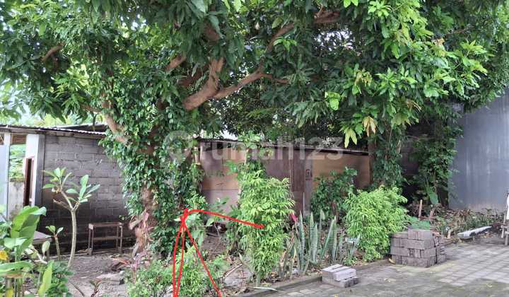 Tanah Jual Di Area Sanur Dekat Pusat Wisata