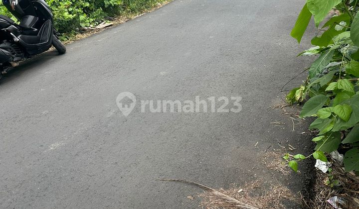 Land in the Padonan Area Suitable for Business