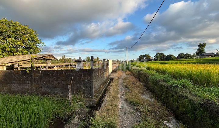 Tanah Jual Di Area Pejeng Dekat Pusat Wisata