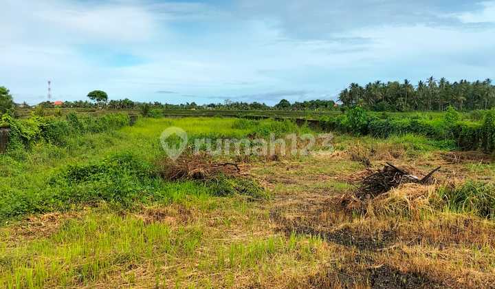 Land with Rice Field View, Strategic Yellow Zone on Baha Mengwi Main Road
