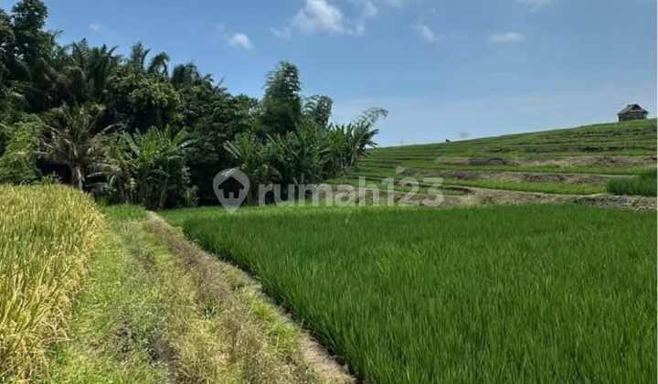 Dijual Tanah Jalan Yeh Gangga Tabanan Bebas Banjir