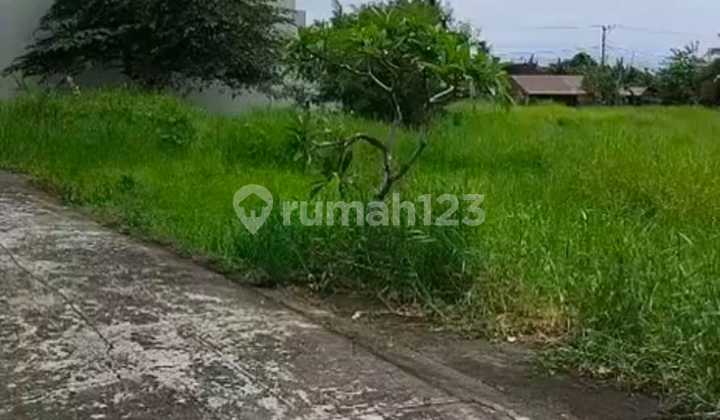 Large Strategic Land for Quick Sale in Tabanan Large Strategic Land for Quick Sale in Tabanan