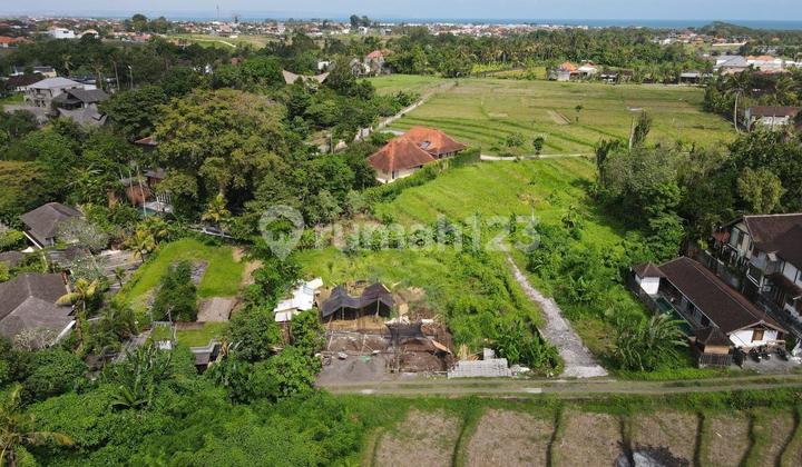 Dijual Tanah Kavling Jl. Pantai Nyanyi Dekat Canggu Dijual Tanah Kavling Jl. Pantai Nyanyi Dekat Canggu