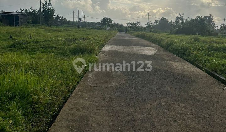 Land Aspect Housing with Partial Rice Field View in Tabanan