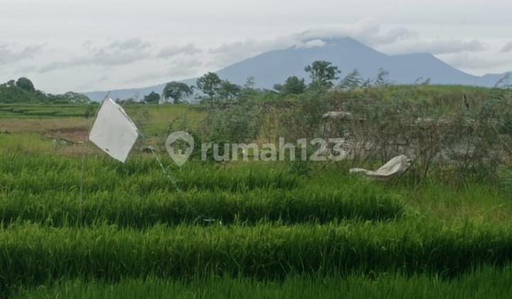 Dijual Tanah Jalan Yeh Gangga Tabanan Bebas Banjir