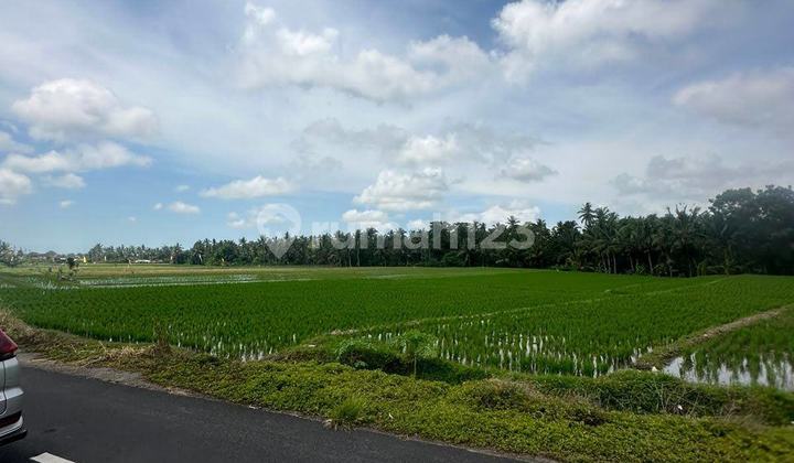 Tanah Dua Sekaligus Lokasi Strategis di Wanasari, Tabanan