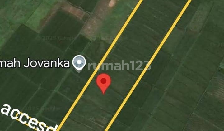 Tanah Strategis Zona Pink di Kedungu, Tabanan Tanah Strategis Zona Pink di Kedungu, Tabanan