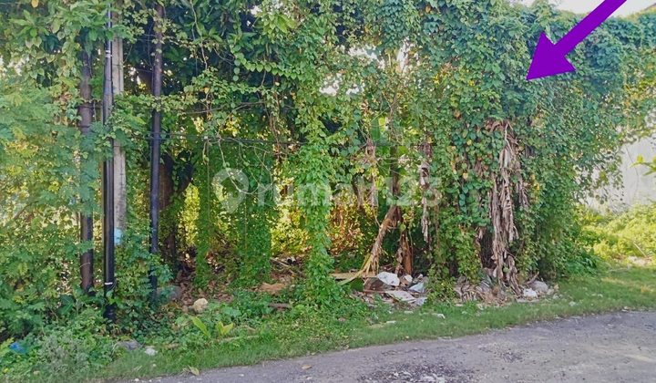 Tanah Strategis Lingkungan Pemukiman di Renon